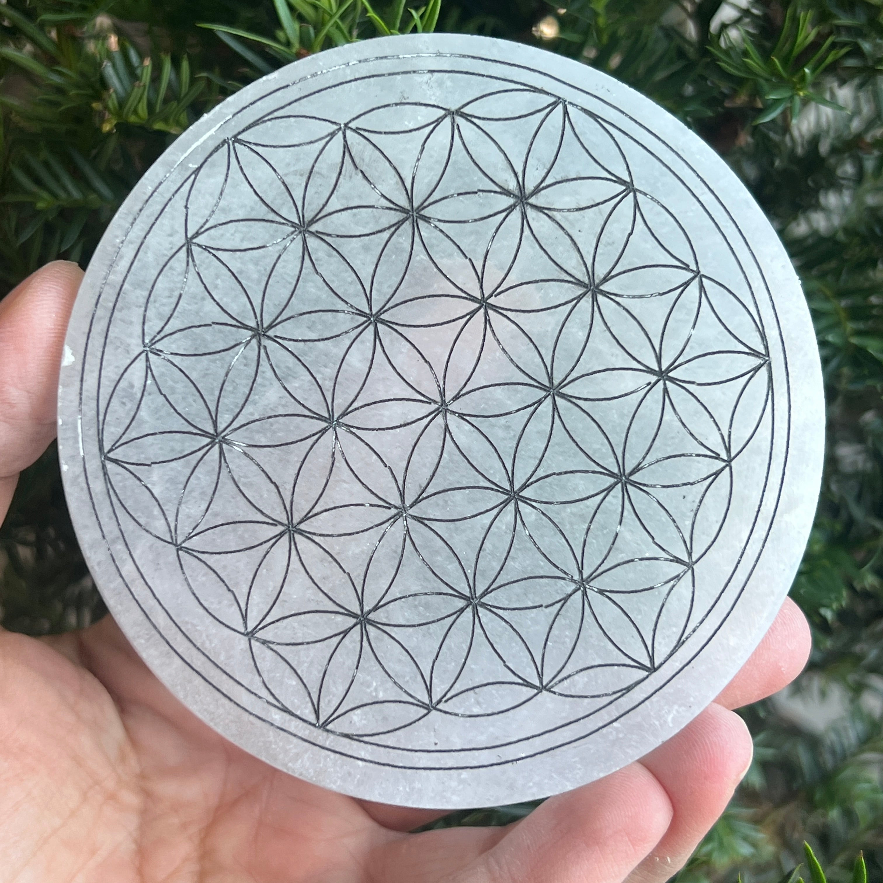 Disc selenit | Flower of Life
