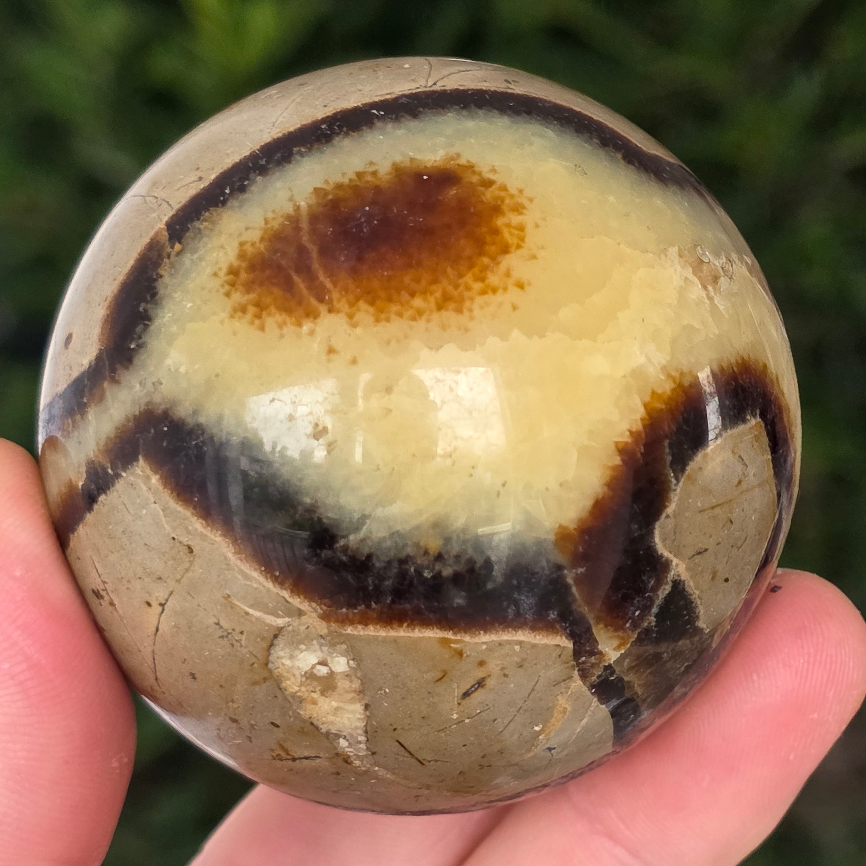 Septaria sfera | model 8